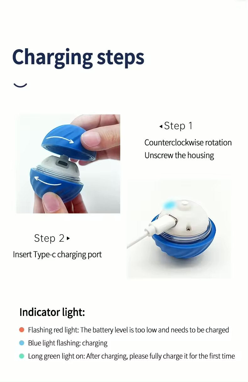 Balle Magique Interactive pour Chat.