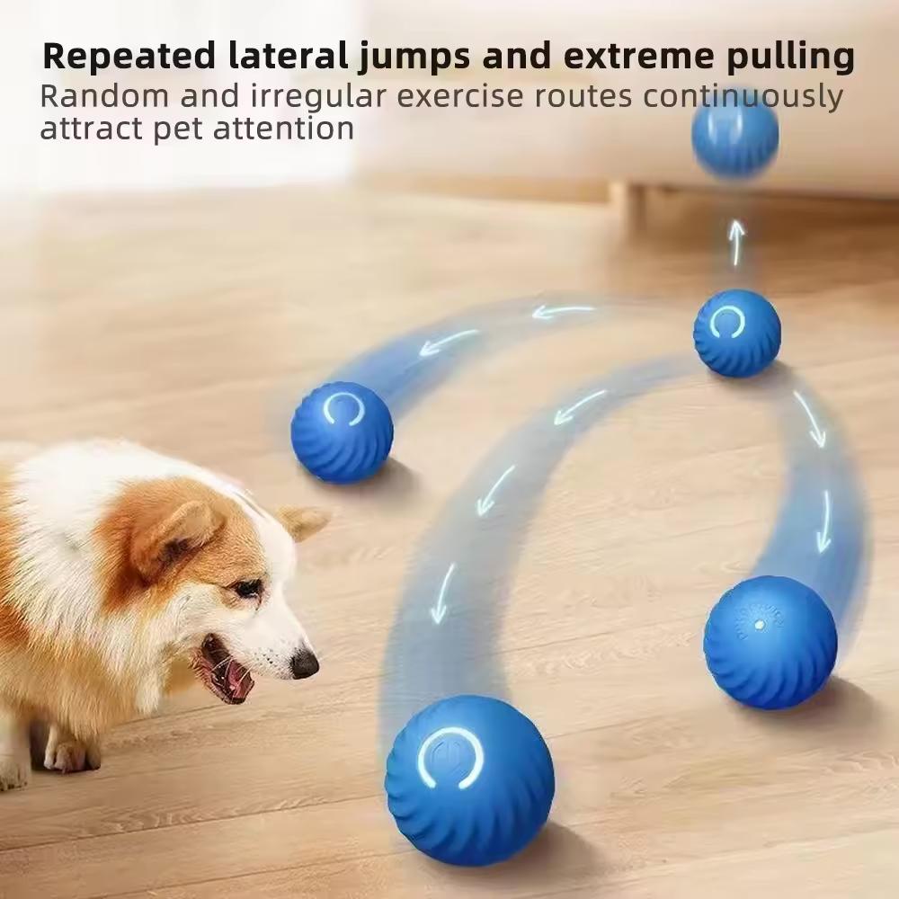 Balle Magique Interactive pour Chat.