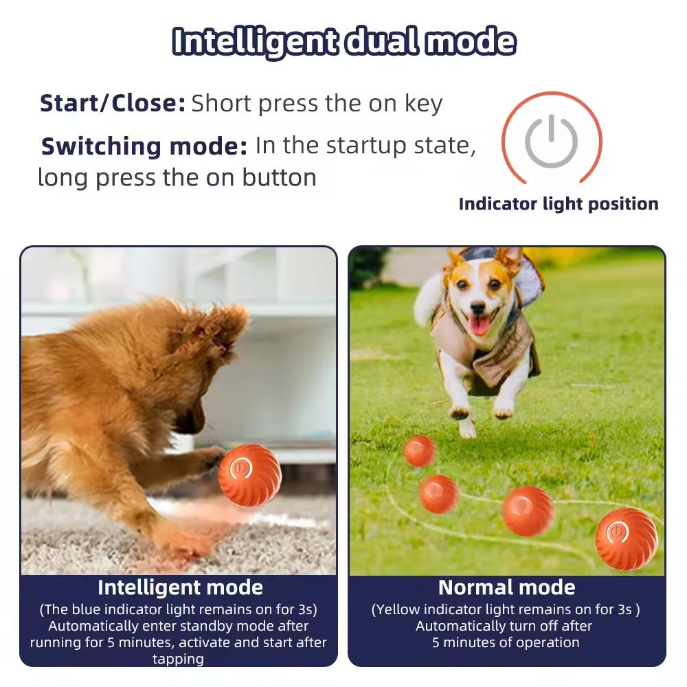 Balle Magique Interactive pour Chat.